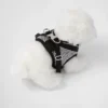 Arnés de satén para perros con cristales Arnés de satén para perros con cristales