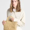 Bolso tote pequeño de ganchillo Bolso tote pequeño de ganchillo