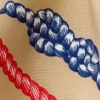 Pañuelo de sarga de seda estampado 55 Pañuelo de sarga de seda estampado 55