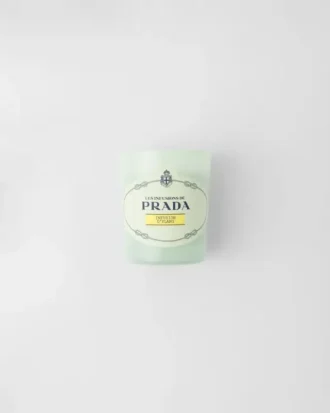 Vela Infusion D’ylang Vela Infusion D’ylang